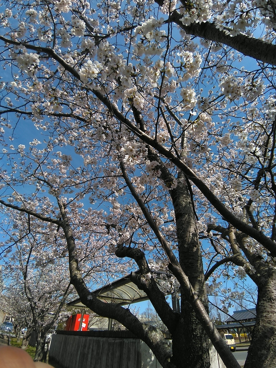 f:id:tyutyudegu:20220401132937j:plain