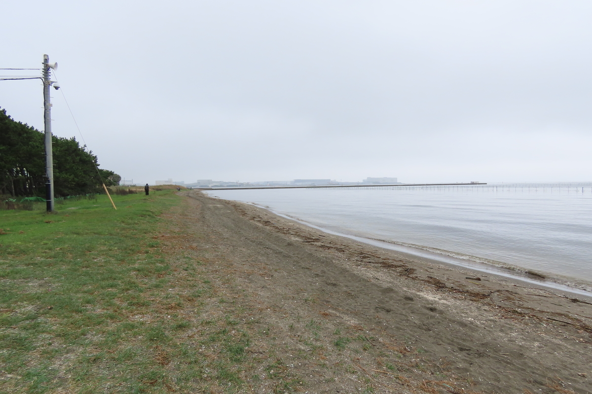 f:id:tyuugakusei_birder:20210912201201j:plain