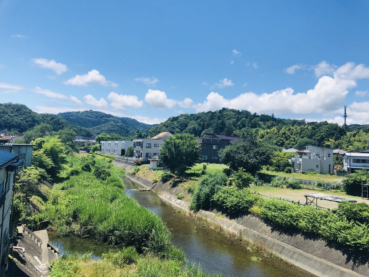 八王子市の野鳥 サンコウチョウ・アオバズク他 2024年6月16日