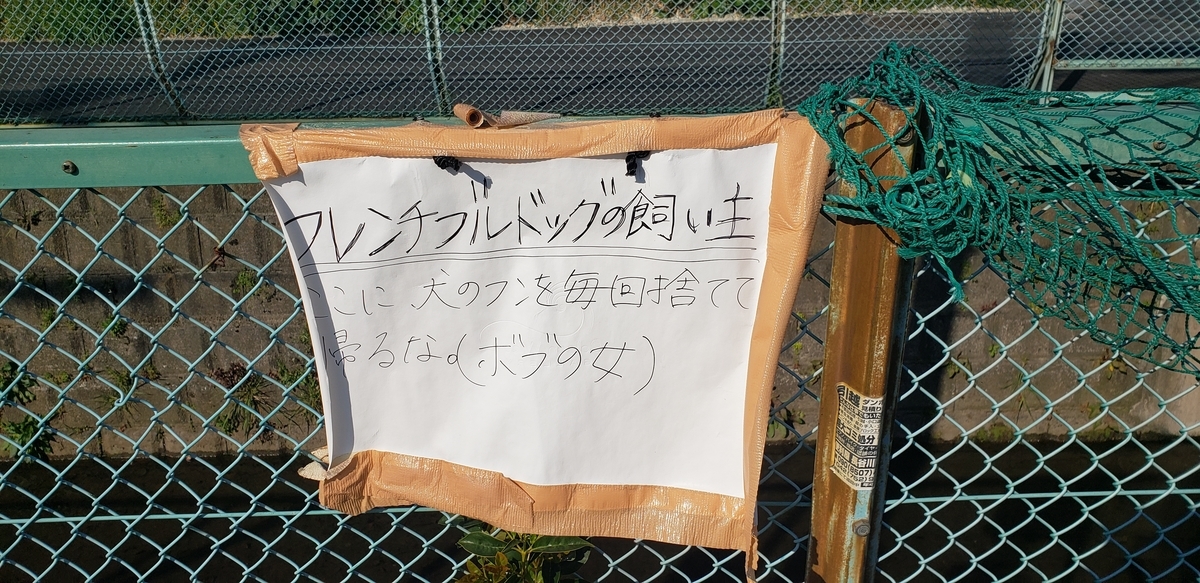 f:id:tyuuuW:20200325023032j:plain f:id:tyuuuW:20200325023032j:plain