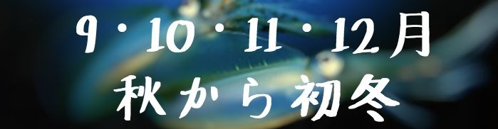 f:id:tyzakiyama0309:20180911210849j:plain