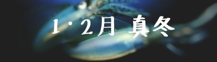 f:id:tyzakiyama0309:20180911211016j:plain