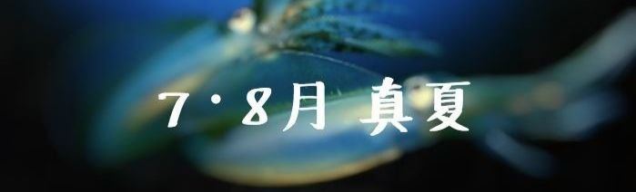 f:id:tyzakiyama0309:20180911211156j:plain