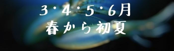 f:id:tyzakiyama0309:20180911211440j:plain