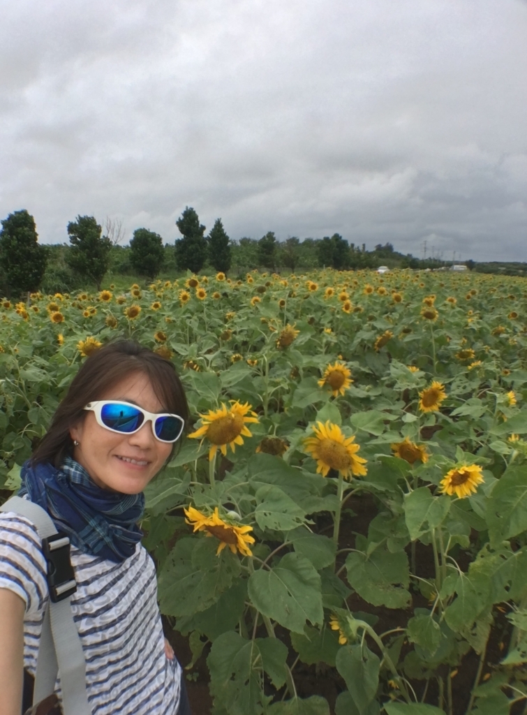 f:id:tzaleski:20180611133630j:plain