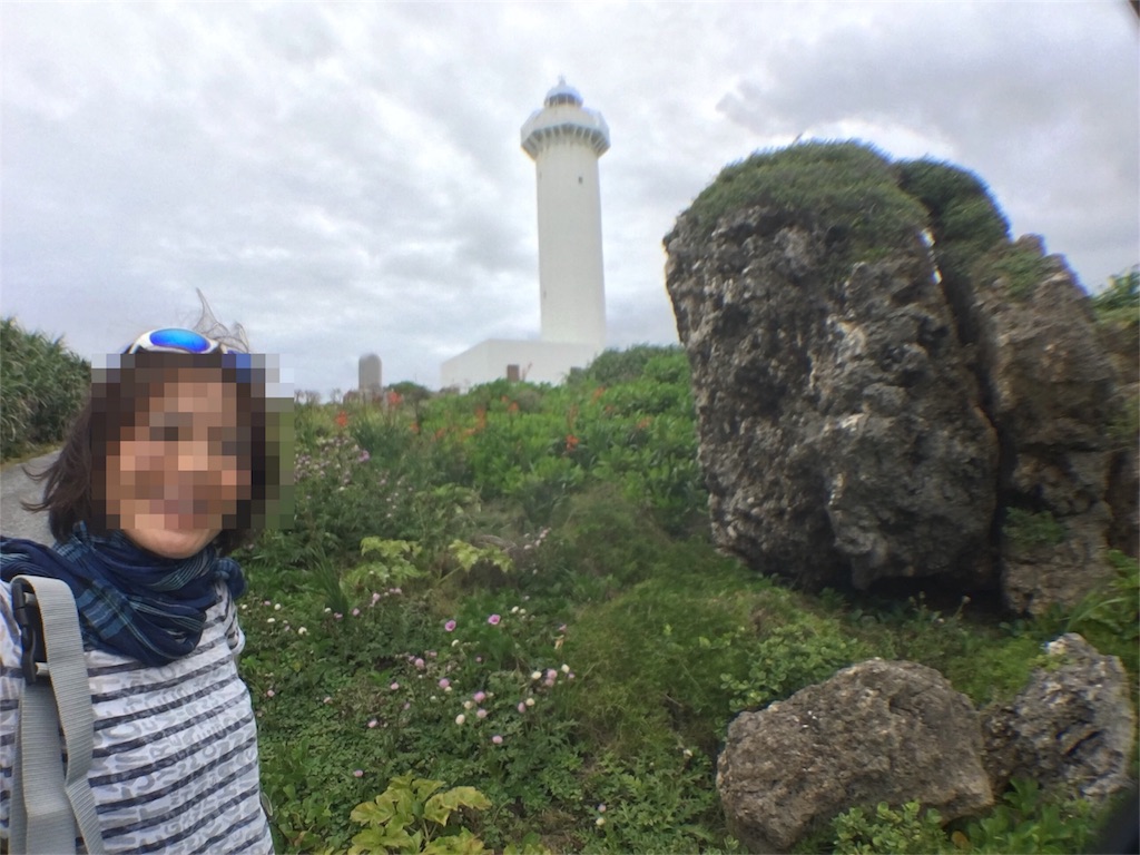 f:id:tzaleski:20180617110348j:image