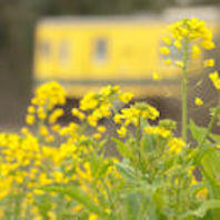 f:id:tzr824:20200318015442j:plain