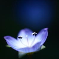 f:id:tzr824:20200318015500j:plain