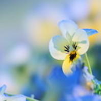 f:id:tzr824:20200318183822j:plain