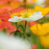 f:id:tzr824:20200318183837j:plain