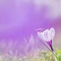 f:id:tzr824:20200318192421j:plain