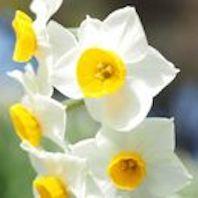 f:id:tzr824:20200318192428j:plain