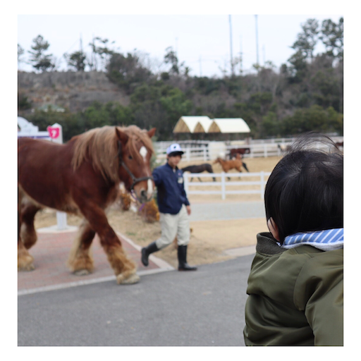 f:id:u-hinata:20200210221238p:image