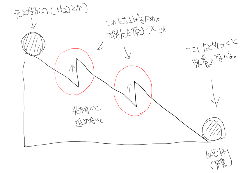 f:id:u-lab:20180926014256p:plain f:id:u-lab:20180926014256p:plain