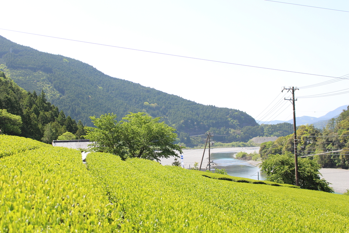 f:id:u-simple:20190504164208j:plain f:id:u-simple:20190504164208j:plain