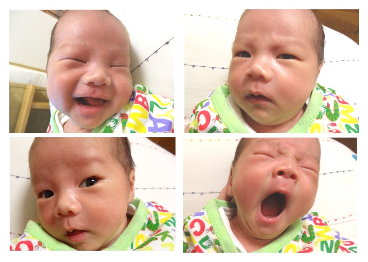 f:id:u-simple:20190511072513j:plain f:id:u-simple:20190511072513j:plain