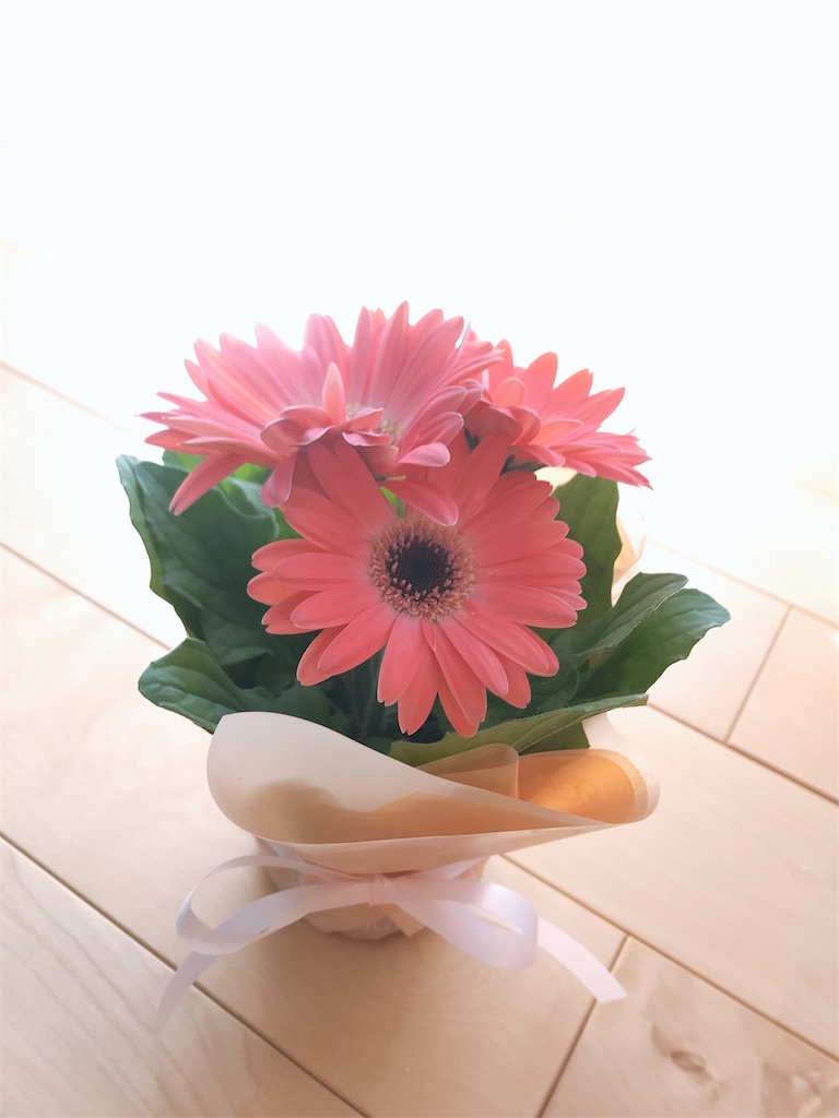 f:id:u-simple:20200324150428j:image f:id:u-simple:20200324150428j:image