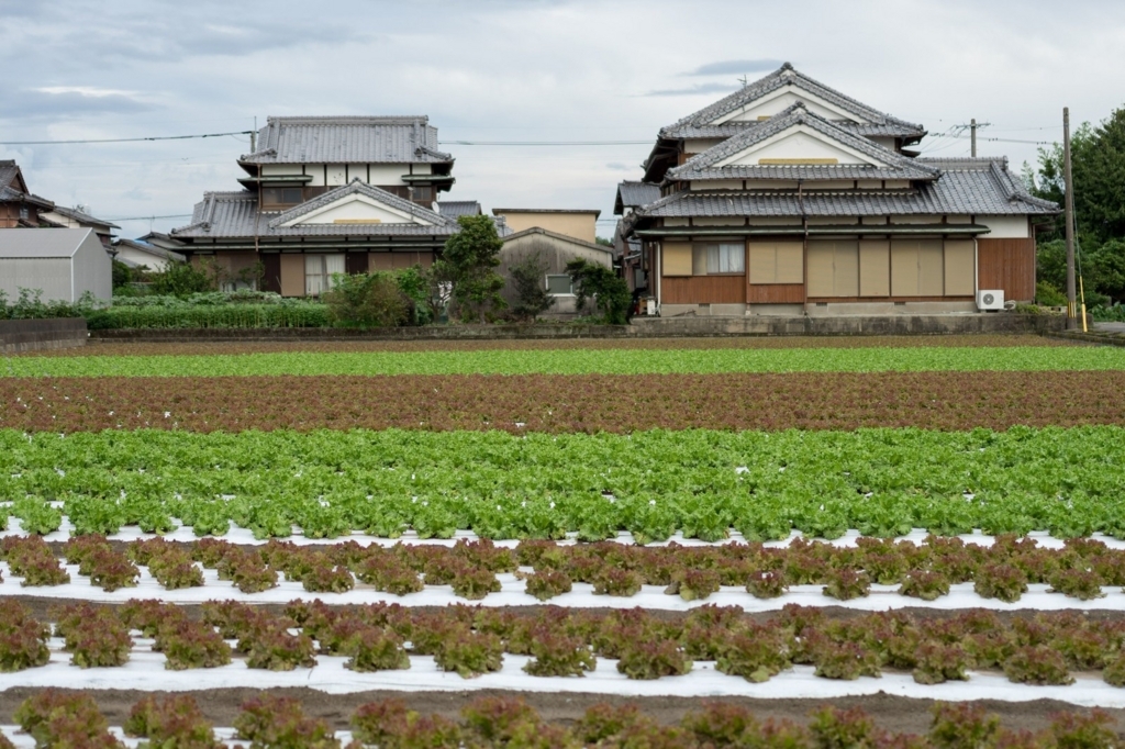 f:id:u-ta-kasou:20180625142759j:plain f:id:u-ta-kasou:20180625142759j:plain