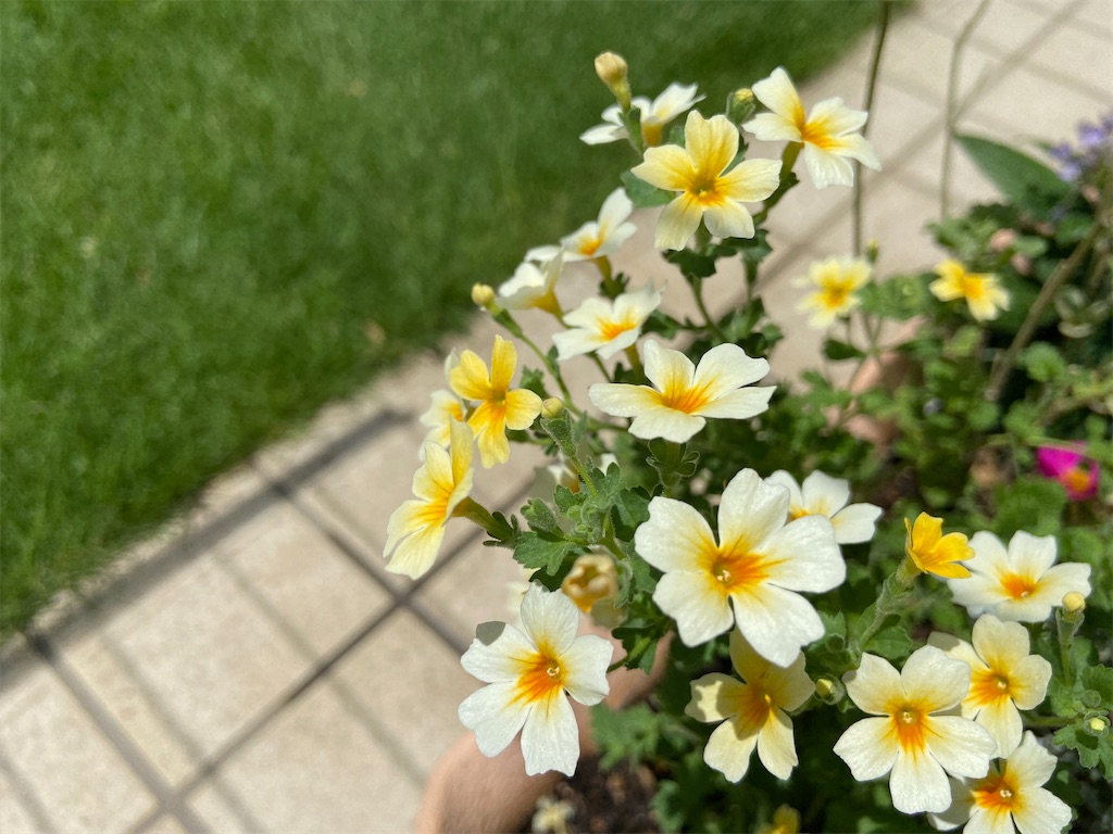 f:id:u-tsu-ro-i:20210804110228j:image