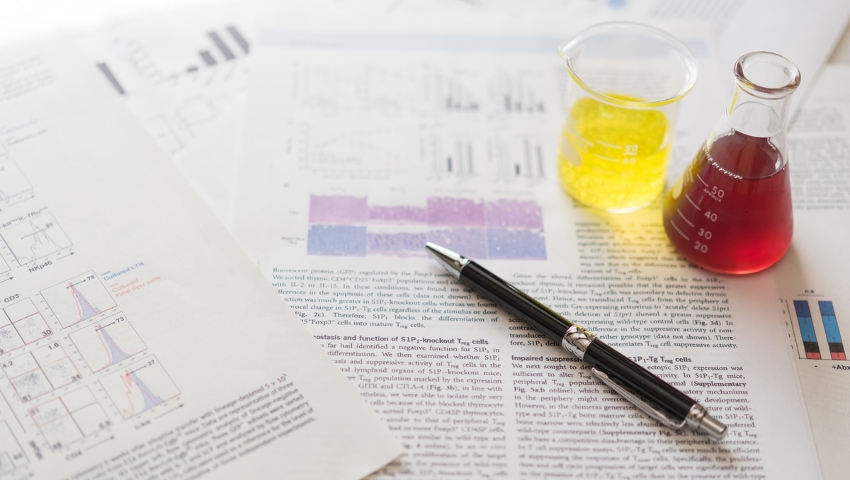 f:id:u-turner:20190705085231j:plain f:id:u-turner:20190705085231j:plain