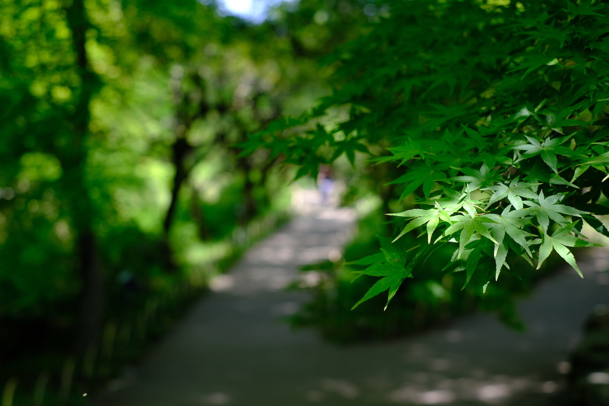 f:id:u0302:20190505184118j:plain f:id:u0302:20190505184118j:plain