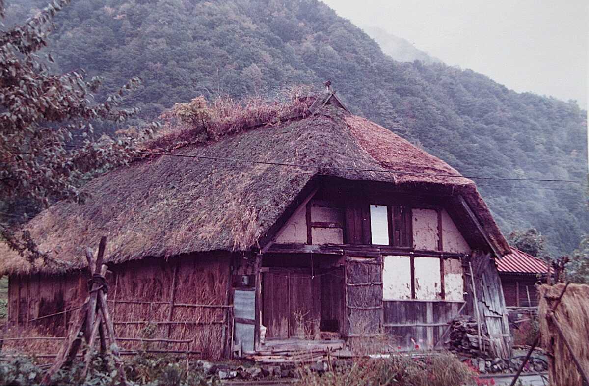 屋根の花園 芝棟・草屋根を日本と世界に訪ねて」山口隆子 - 透明