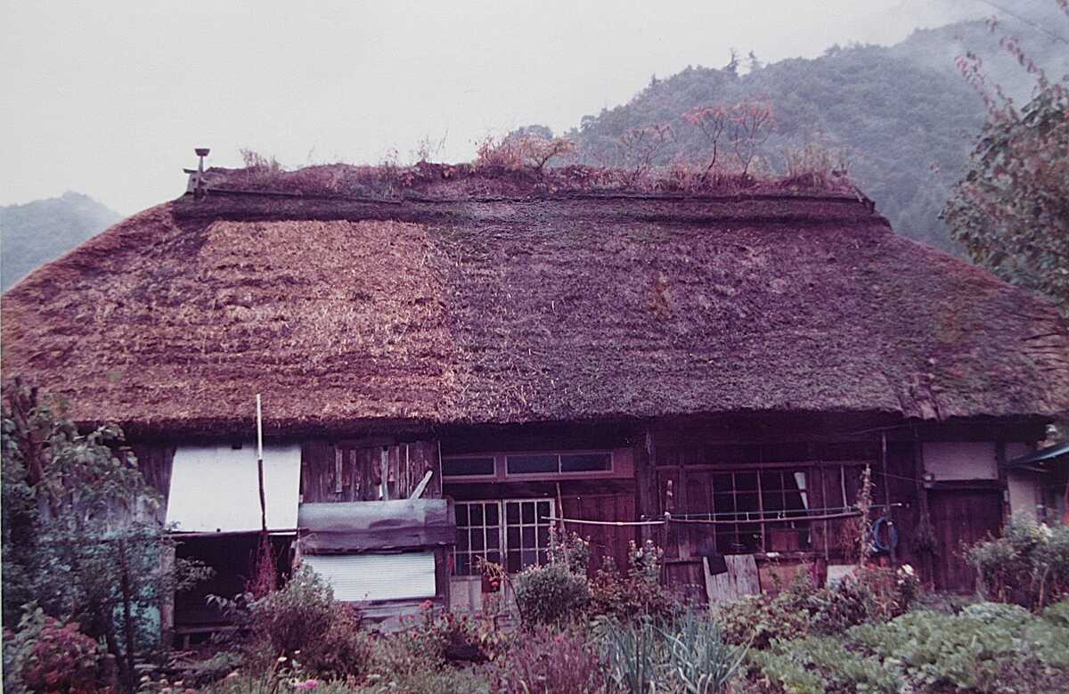 屋根の花園 芝棟・草屋根を日本と世界に訪ねて」山口隆子 - 透明
