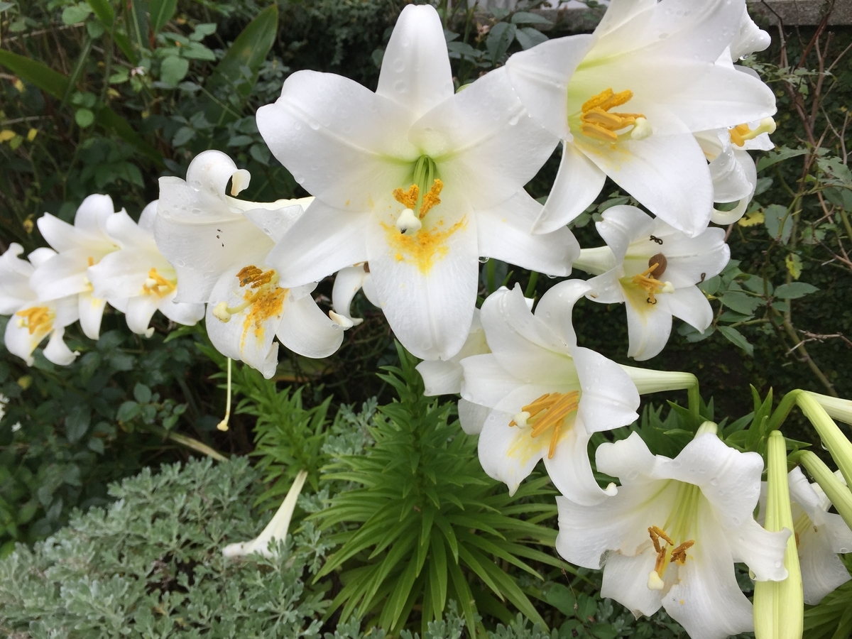 f:id:u935happy:20190518221640j:plain