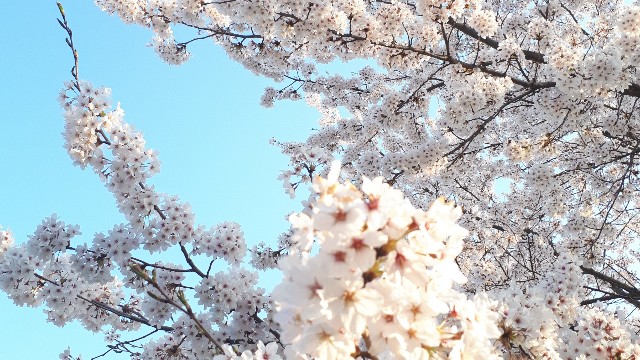 f:id:u__1i:20200419143327j:image f:id:u__1i:20200419143327j:image