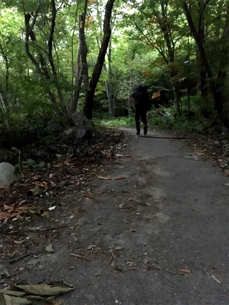f:id:u_f_y:20180812101411j:image f:id:u_f_y:20180812101411j:image