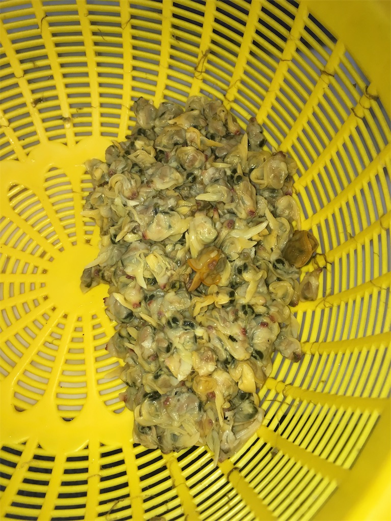 f:id:u_f_y:20190201123943j:image f:id:u_f_y:20190201123943j:image