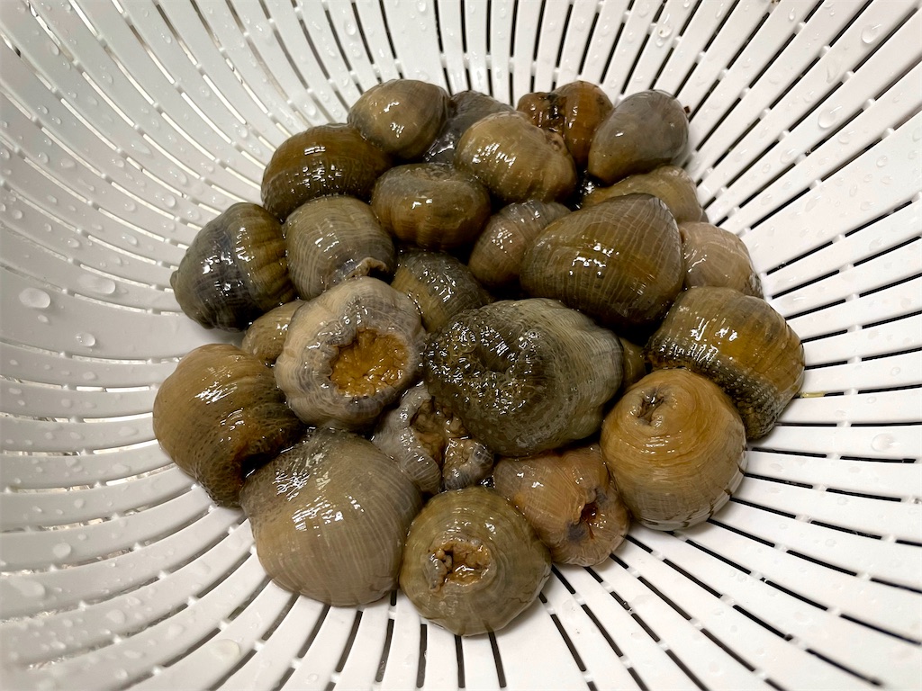 f:id:u_f_y:20220403223325j:image