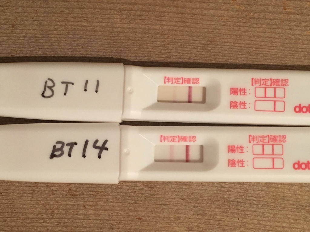 Bt14日目 高温期20日目 妊娠検査薬 ぬしゃ子の不妊治療日記
