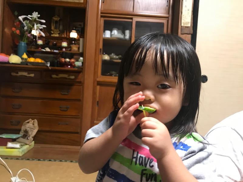 f:id:u_rotas:20190904064838j:plain