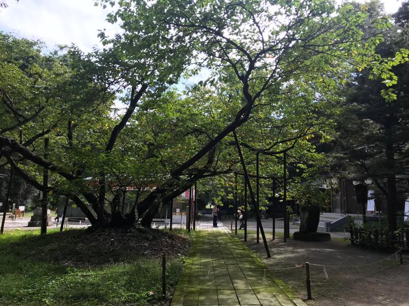 f:id:u_rotas:20190925172654j:plain