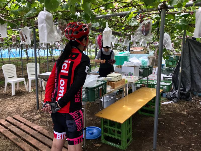 f:id:u_rotas:20190925180107j:plain