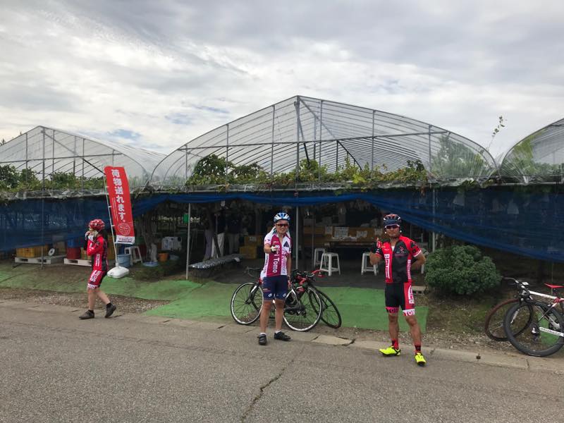 f:id:u_rotas:20190925180115j:plain