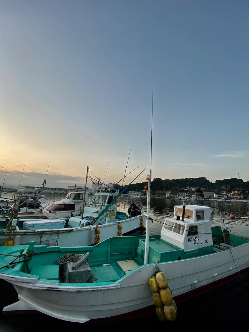 f:id:u_rotas:20191002062738j:plain f:id:u_rotas:20191002062738j:plain