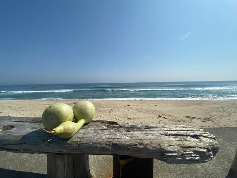 f:id:u_rotas:20191002174821j:plain