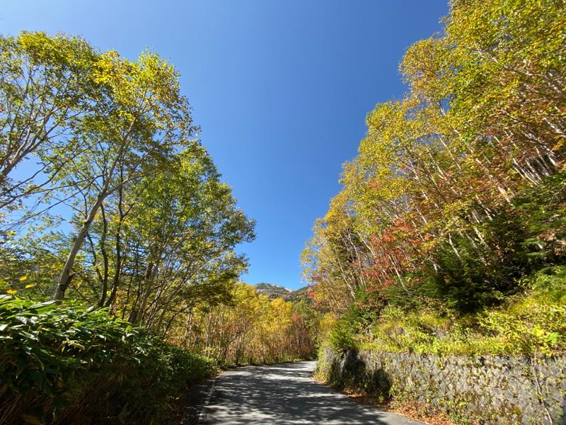 f:id:u_rotas:20191015082152j:plain