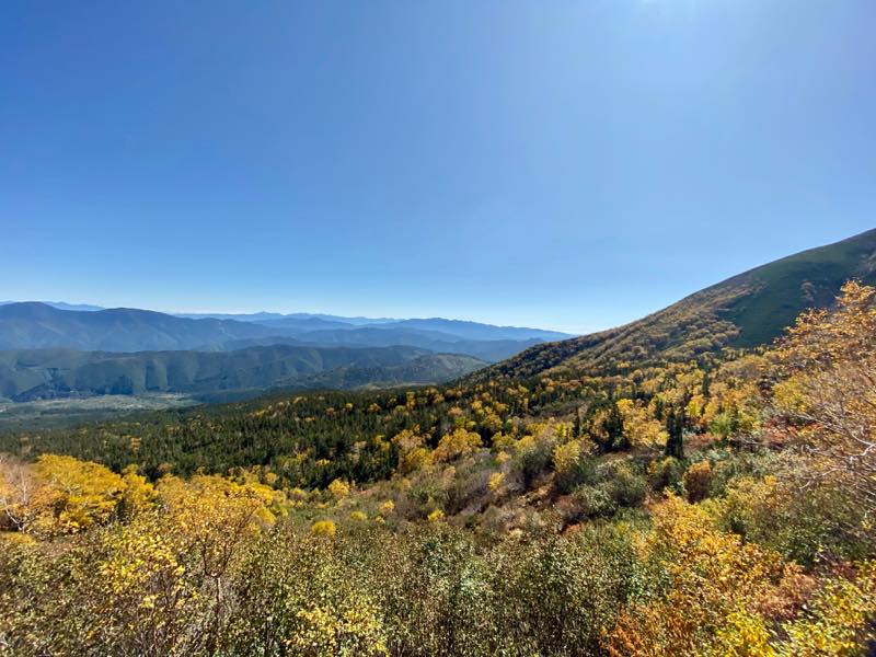 f:id:u_rotas:20191015101517j:plain