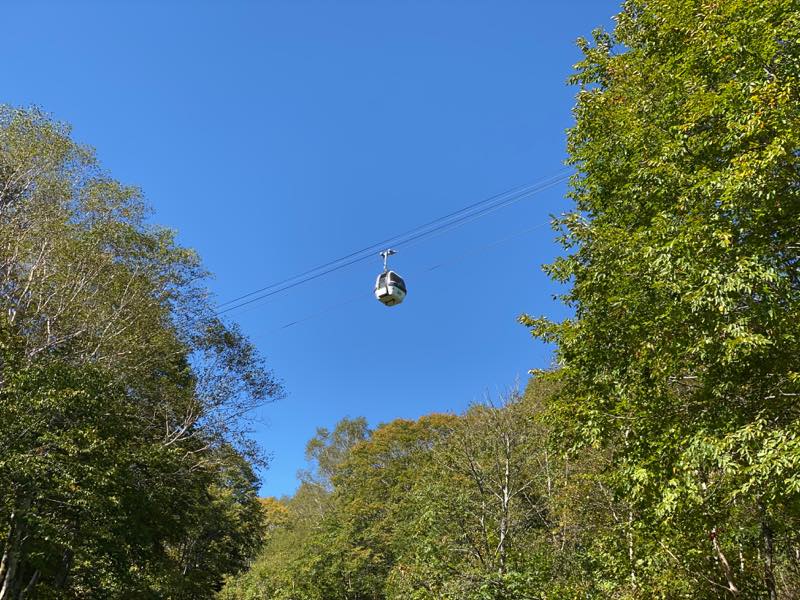 f:id:u_rotas:20191018065348j:plain