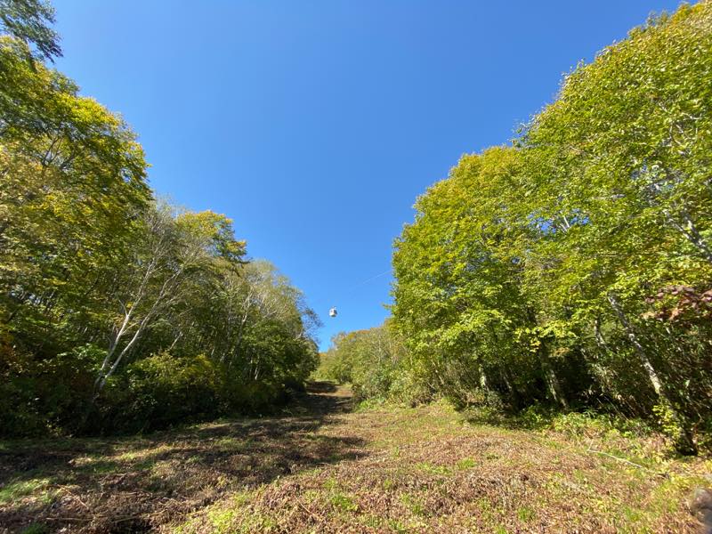 f:id:u_rotas:20191018065352j:plain