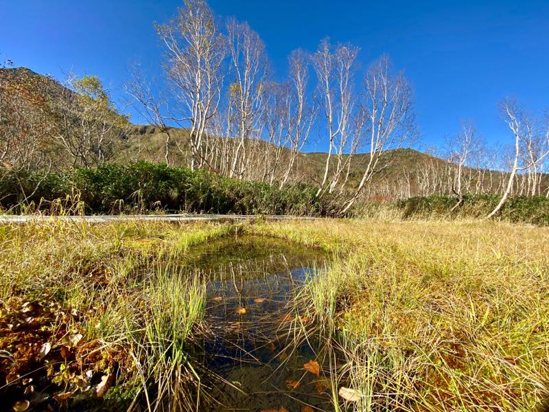 f:id:u_rotas:20191018065443j:plain