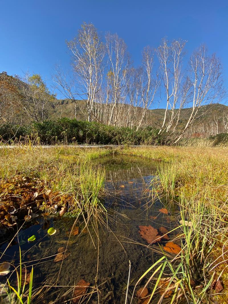 f:id:u_rotas:20191018065446j:plain