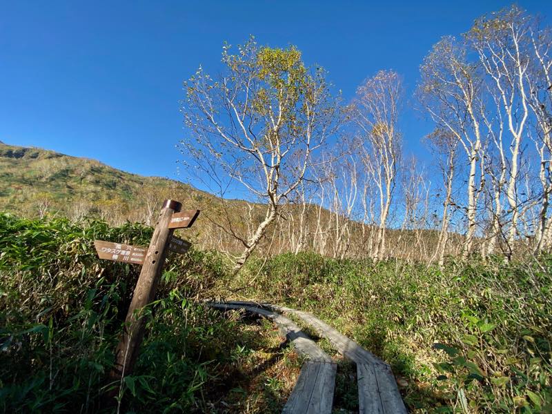 f:id:u_rotas:20191018065448j:plain