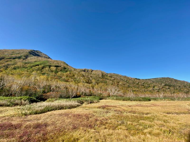 f:id:u_rotas:20191018065451j:plain