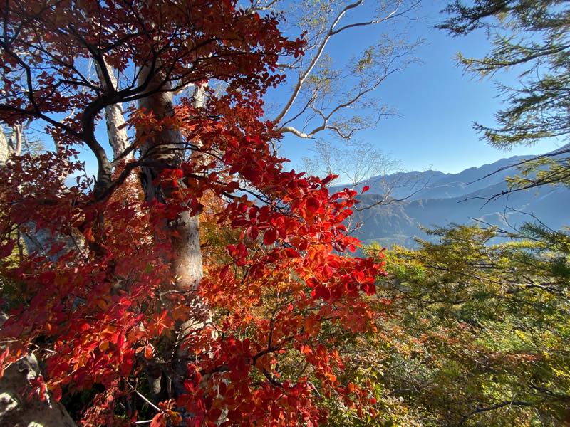 f:id:u_rotas:20191018065530j:plain