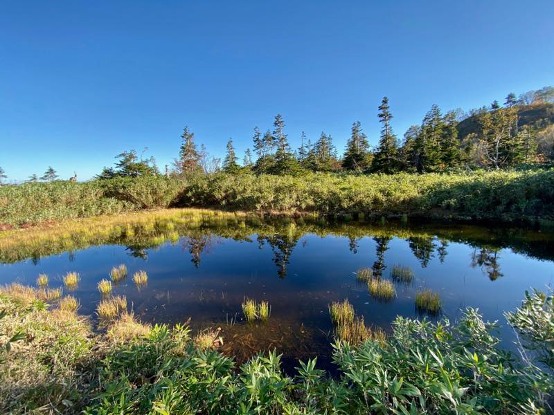 f:id:u_rotas:20191018065550j:plain