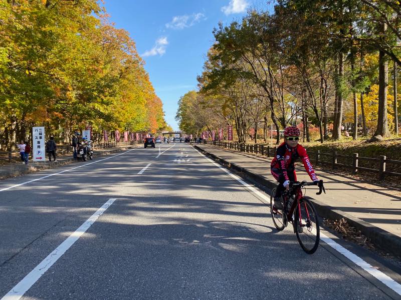 f:id:u_rotas:20191123070654j:plain f:id:u_rotas:20191123070654j:plain